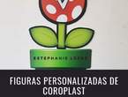 Coroplast en Ciudad de Guatemala (Municipio)