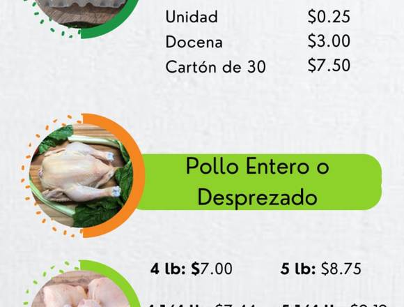 Pollo blanco de patio en Panamá (Distrito)