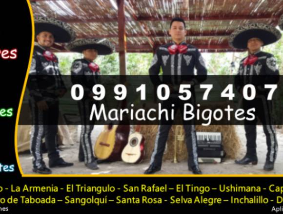 Mariachis en Sangolquí 30 dólares 10 canciones en Quito (Cantón)