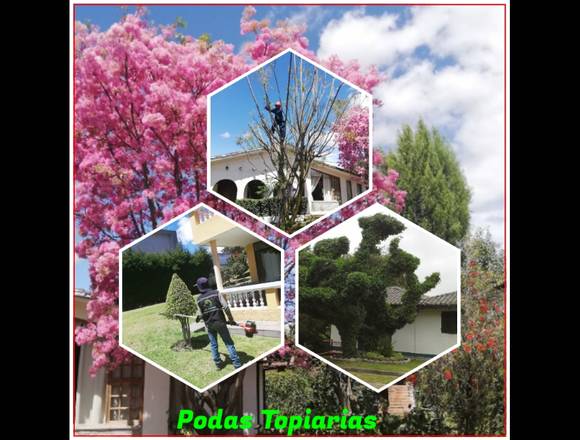 Paisajismo, Jardineria y Decoración en Quito (Cantón)