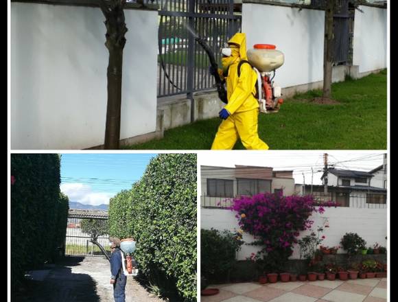 Paisajismo, Jardineria y Decoración en Quito (Cantón)