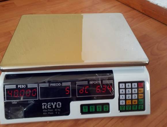 Bascula Digital REYO 40KG en Ojuelos de Jalisco (Municipio)