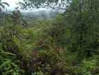 1 Hectare Titled Land in Cerro Azul Panama City en Panamá (Distrito)