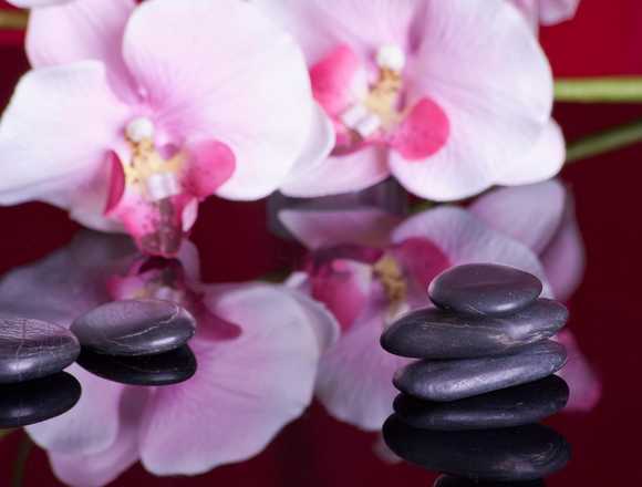 Wellness -Massagen Y Terapias
