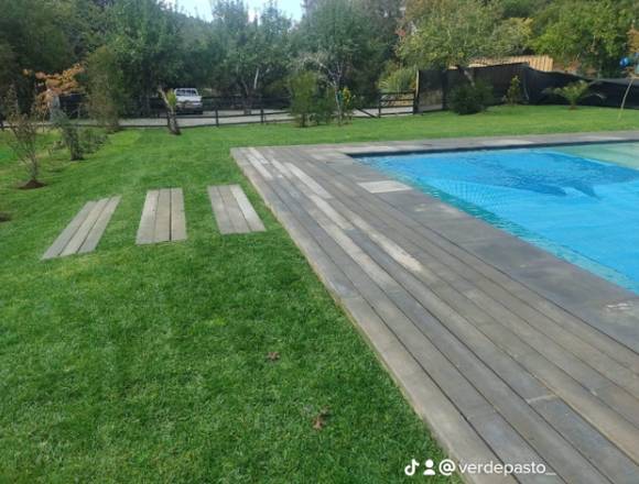 Cesped Calidad Premium en Concepción (Comuna)