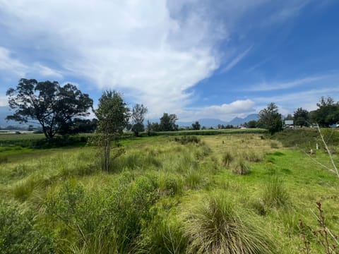 Terreno grande en venta sobre Carretera Pátzcuaro-Morelia en Huiramba (Municipio)