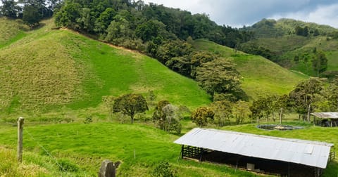 VENDEMOS LOTE CAMPESTRE DE 11 HECTÁREAS EN EL RETIRO en El Santuario (Municipio)