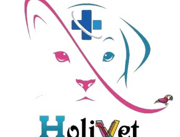 Rehabilitación Veterinaria Tenerife