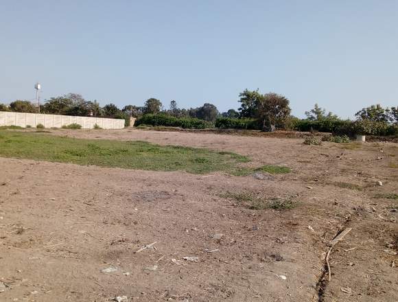 Remato terreno en pachacamac 1000 mts2