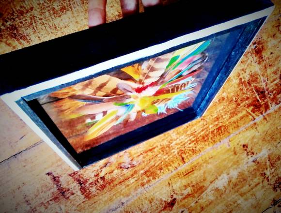 Cuadro Decoración Arte Para El Hogar Plumas Adorno en Maturín (Municipio)