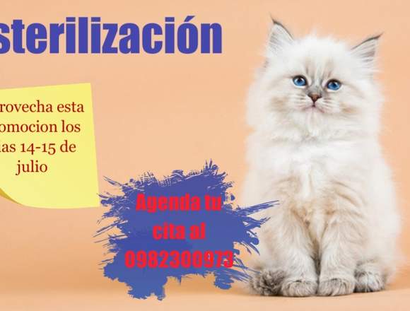Esterilizacion promo en Empalme (Cantón)
