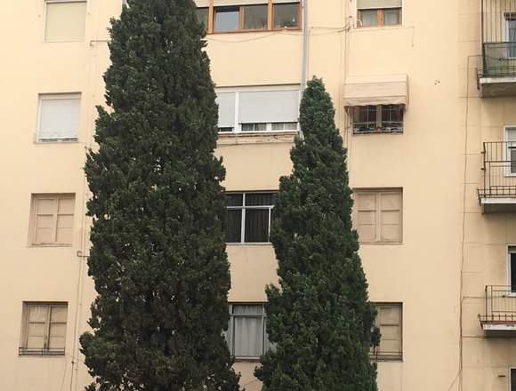 Piso 3 Dormitorios con posibilidad de hacer 4 D en Granada (Municipio)