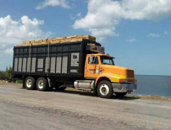 Transporte de Carga en Valladolid, Yucatán en Valladolid (Municipio)