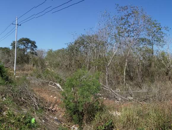 Venta Terreno Cholul Merida en Mocochá (Municipio)