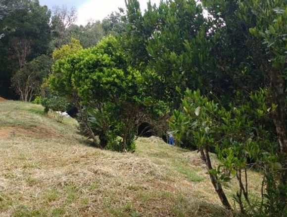 Venta de 2 parcelas 2400 y 2000 m^2 en Popayán (Municipio)