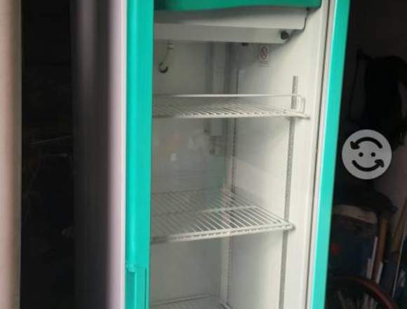 Carga de gas a Refrigeradores Congeladores Torrey en Ojuelos de Jalisco (Municipio)