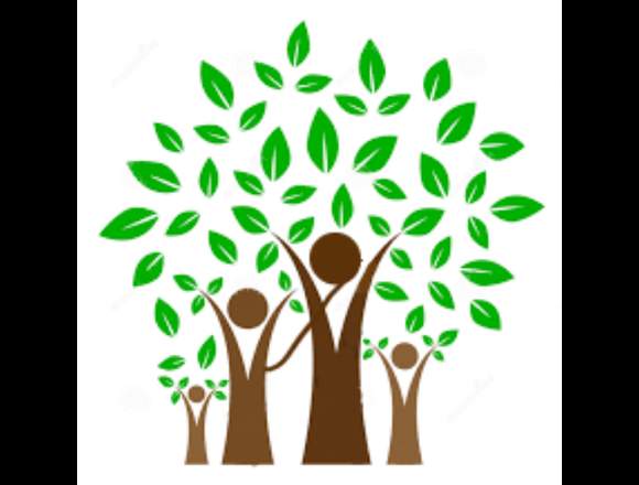 Consulta Psicologia, Psicotirapia ou Life Coaching em Porto (Concelho)