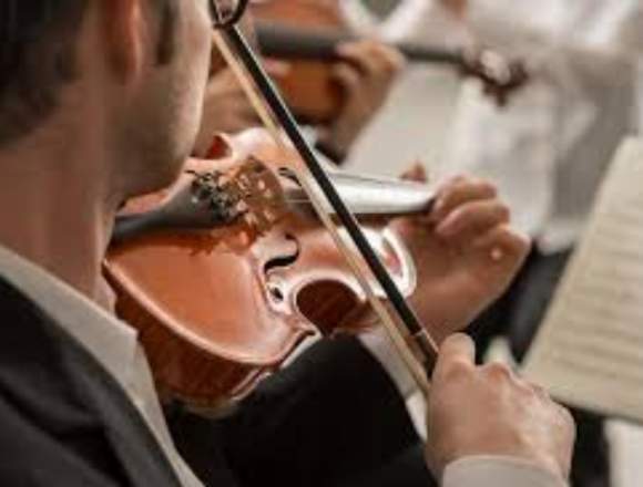 Clases individuales de VIOLÍN