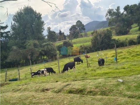 Venta de Lotes en San Pedro de los Milagros – Antioquia