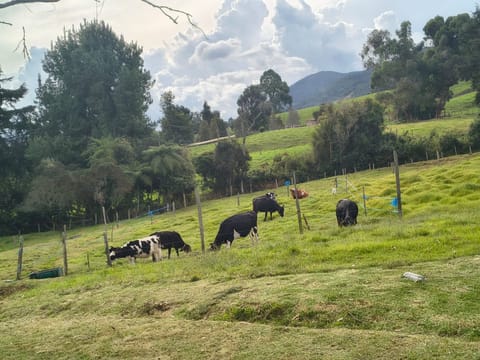 Venta de Lotes en San Pedro de los Milagros – Antioquia en Bello (Municipio)