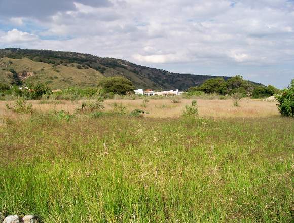 Unico Terreno ideal para Escuela espaldas TEC en Tlajomulco de Zúñiga (Municipio)