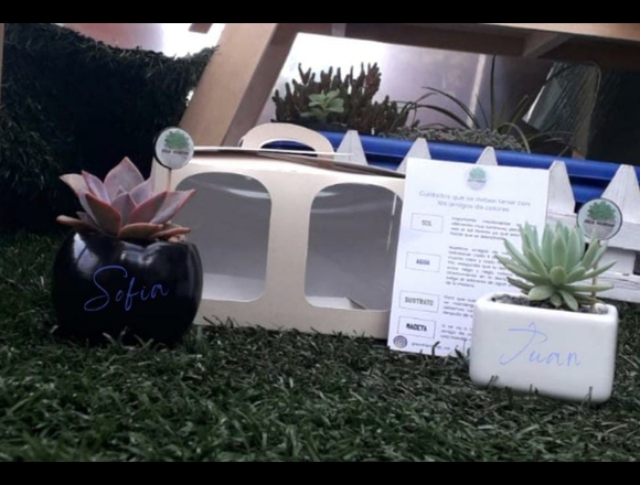 Kit suculentas en matera cerámica personalizada