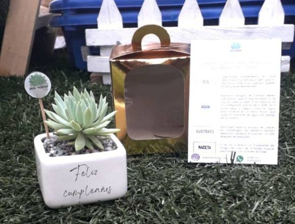 Kit suculentas en matera cerámica personalizada en Bogotá, D.C. (Municipio)