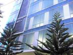FAMAGOSTA SAN FRANCISCO *202952ppz*