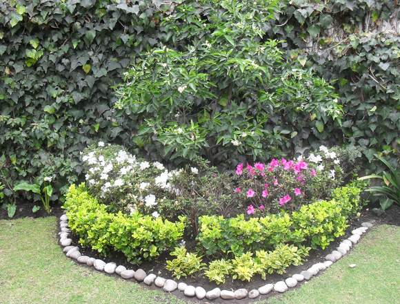 Mantenimiento de Jardinería