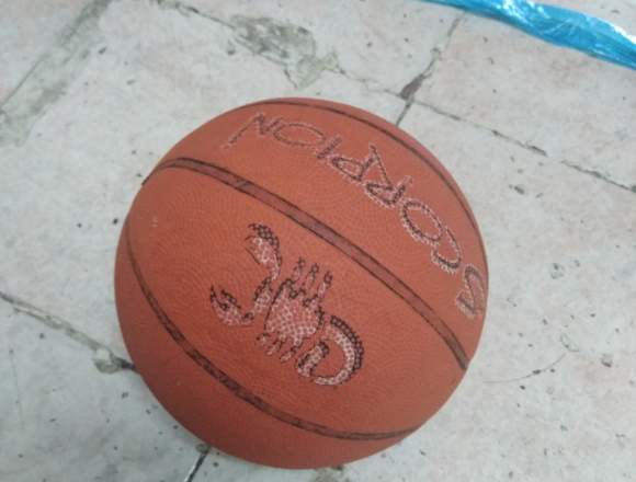 Balón de basket escorpión en Caicedonia (Municipio)