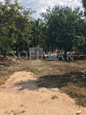 Terrenos en Venta, Leona Vicario Cerca de La Carretera, Kanasin, Yuc. en Mérida (Municipio)