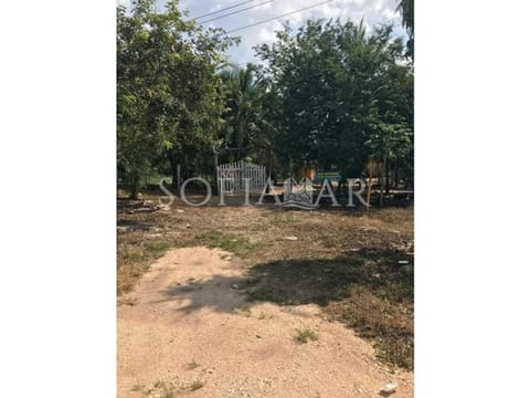 Terrenos en Venta, Leona Vicario Cerca de La Carretera, Kanasin, Yuc.