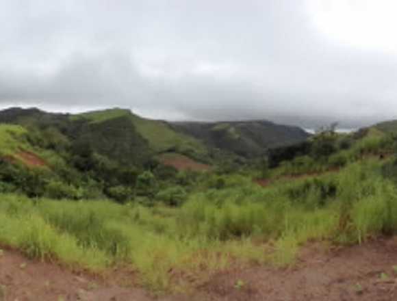 Se vende terreno en calobre en Calobre (Distrito)