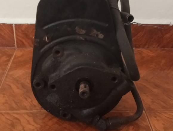 Bomba hidráulica en forma de perita en Maturín (Municipio)