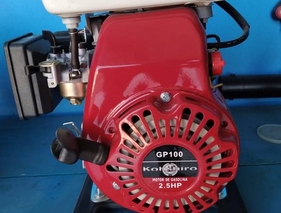 Venta de Motobomba de 1 " en Huichapan (Municipio)