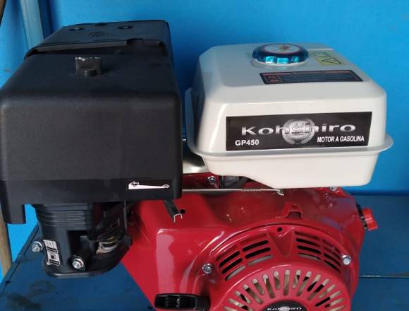 Venta de Motor Kohshiro de 16 HP. en Huichapan (Municipio)