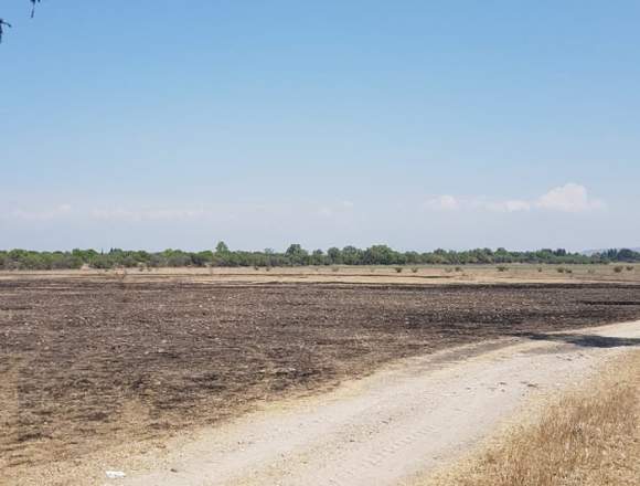 Terreno para inversión. Zona de Plusvalía.