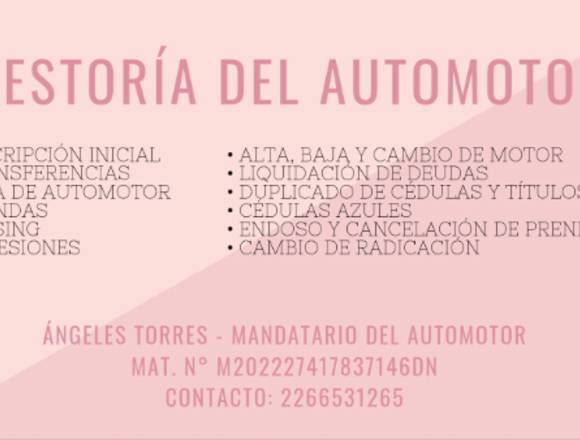 GESTORÍA DEL AUTOMOTOR 🚗 en Balcarce (Localidad)