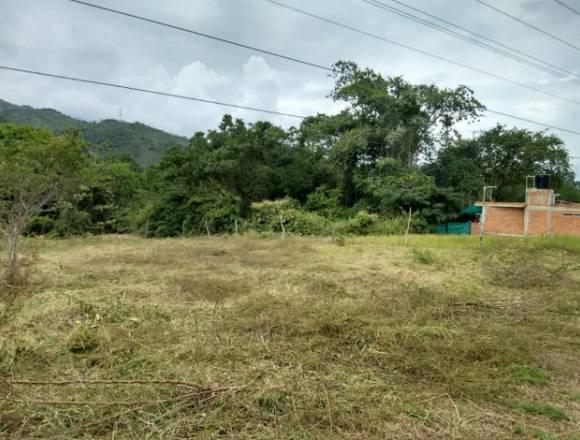 Lote Casa Campestre en Ibagué (Municipio)