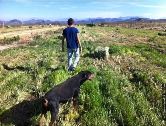 VENTA DE RANCHO AGRÍCOLA AL NORTE DE RAMOS ARIZPE. 8.2 HAS. en Ramos Arizpe (Municipio)
