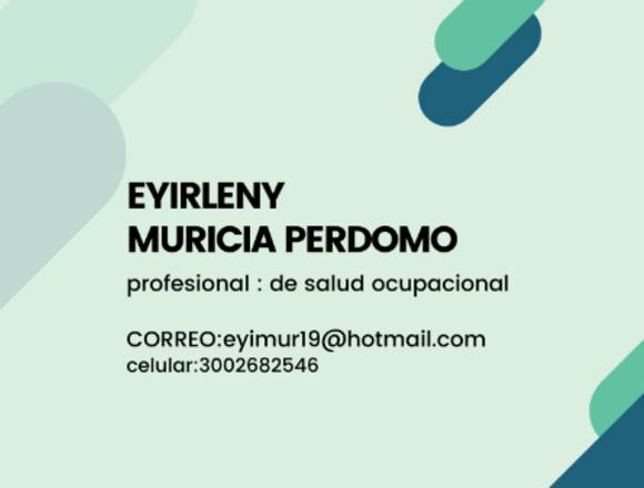 servicios de seguridad y salud en el trabajo en Ibagué (Municipio)