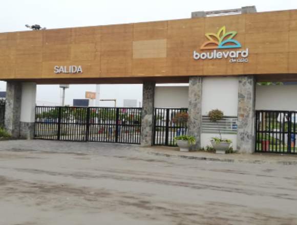 SE VENDE LOTE DE A 10 MINUTOS DE BOULEVARD DE ASIA