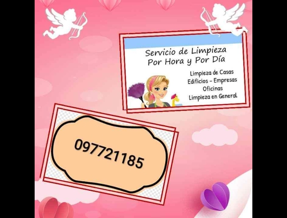 ME OFREZCO PARA LIMPIEZA POR HORA 300 LA HORA en Montevideo (Localidad)