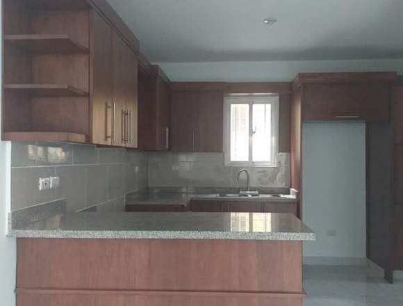 Rento apartamentos y penthouse nuevos y modernos en Puñal (Municipio)