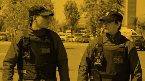 Empresa De Seguridad LOS LAGOS en Osorno en Osorno (Comuna)