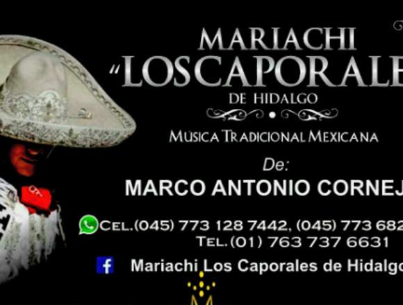 MARIACHI LOS CAPORALES DE HIDALGO 7731287442 en Tula (Municipio)