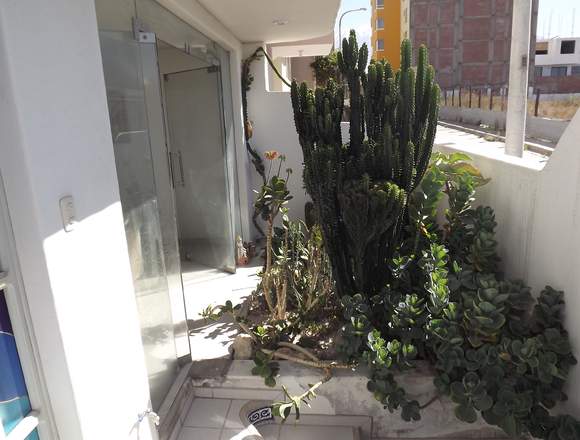 Servicios de Jardinería. en Las Condes (Comuna)