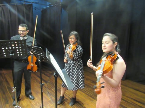 Clases de violín profesionales en Guatemala en Ciudad de Guatemala (Municipio)