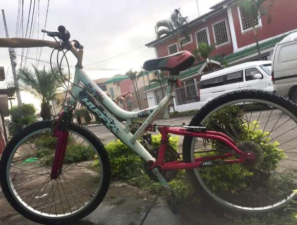 BICICLETA MONTAÑERA EN BUEN ESTADO