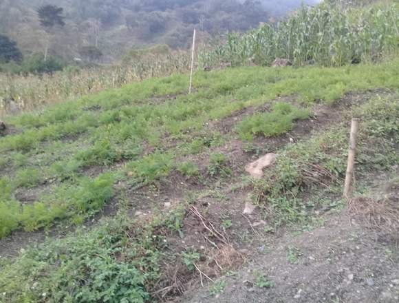 vendo permuto finca en Herrán (Municipio)